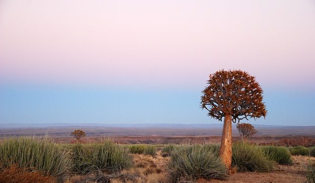 Family holidays in Africa