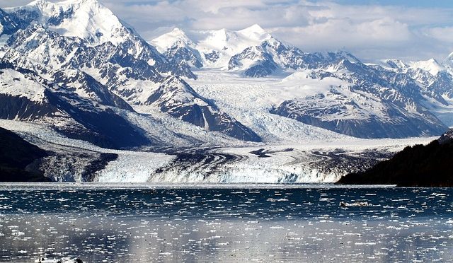 Alaskan Safaris
