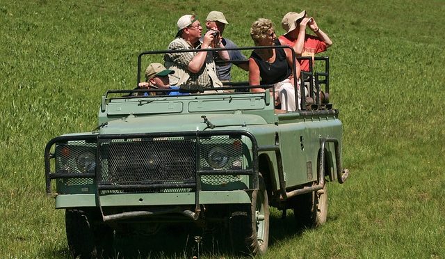 Group safari holidays